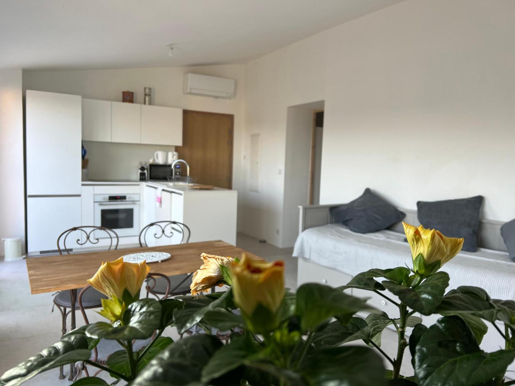 Au Coeur De Seillans, Charmant Logement, Grande Terrasse Et Panorama Exterior photo